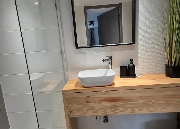 Appartement Loft Des Cigognes *