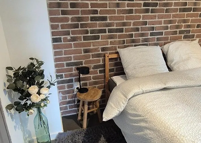 Loft Des Cigognes Appartement Barr